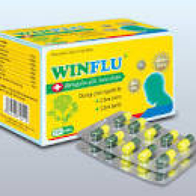 Winflu h100vien