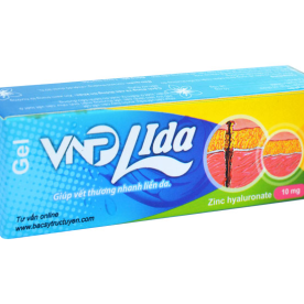 VNP Lida