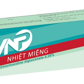 VNP nhiet mieng